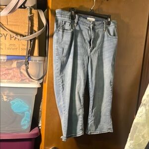 Lane Bryant Blue Ankle Cropped Jeans